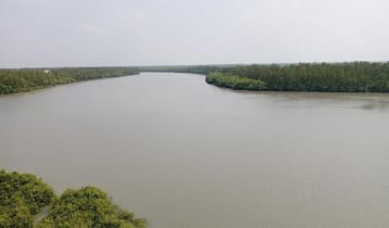 সুন্দরবনে ঝড়ে নৌকাডুবি, ৪ মৌয়াল নিখোঁজ