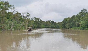 আতঙ্কে সুন্দরবনে যাচ্ছেন না মৌয়ালরা