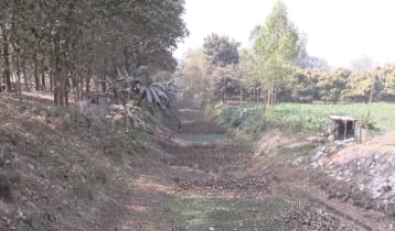 নাব্যতা হারাচ্ছে ঠাকুরগাঁওয়ের নদী-খাল, পুনঃখননের দাবি