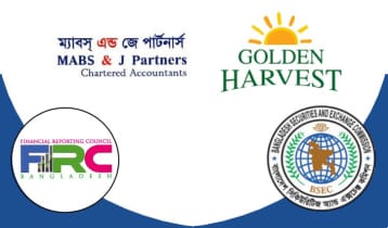 মিথ্যা তথ্য উপস্থাপন, ফেঁসে যাচ্ছে গোল্ডেন হারভেস্টের নিরীক্ষক