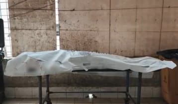 লক্ষ্মীপুরে পৃথক সড়ক দুর্ঘটনায় নিহত ২