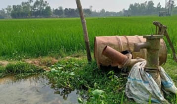 ডিজেল সংকটে সিরাজগঞ্জে বোরো উৎপাদনে শঙ্কা