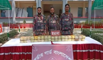 উখিয়ায় ৩ লাখ ৮০ হাজার পিস ইয়াবা উদ্ধার