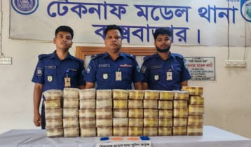 মুরগির খামারে মিলল ৫ লাখ পিস ইয়াবা