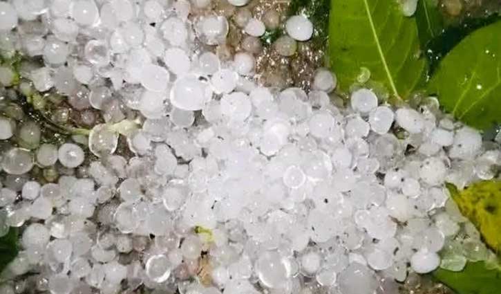 কিশোরগঞ্জের হাওরাঞ্চলে শিলাবৃষ্টি, বোরো ধানের ক্ষতির আশঙ্কা