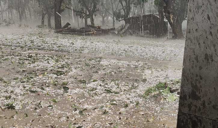 চাঁপাইনবাবগঞ্জে হঠাৎ শিলাবৃষ্টি, আমের ক্ষতি 