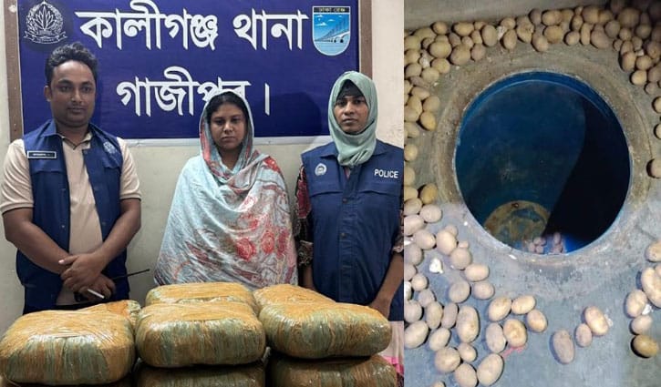 রান্নাঘরে মাদকের গোপন ভাণ্ডার, আলুর স্তূপ সরাতেই মিলল ২০ কেজি গাঁজা