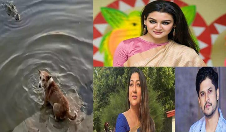 কুকুর-কুমির ঘটনায় নিন্দায় মুখর তারকারা