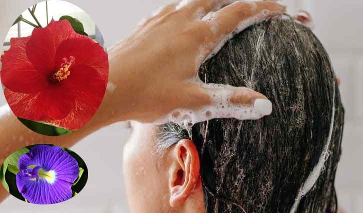 ফুল দিয়ে কন্ডিশনার বানানোর উপায় জেনে নিন