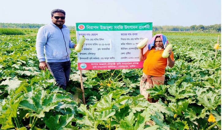 তামাকের বিকল্পে স্কোয়াশ চাষে তিনগুণ লাভ নাসিরের