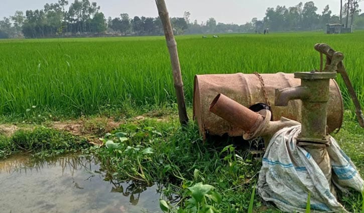 ডিজেল সংকটে সিরাজগঞ্জে বোরো উৎপাদনে শঙ্কা