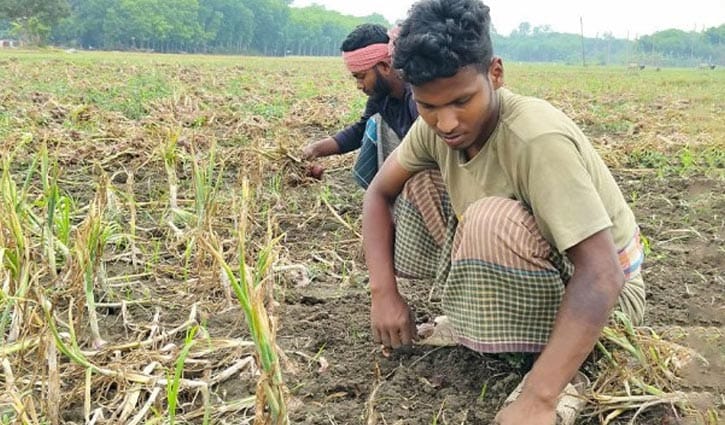তিন বিশ্ববিদ্যালয়ে সুযোগ, অনিশ্চিত রাজুর উচ্চশিক্ষার স্বপ্ন