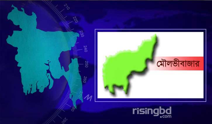 মৌলভীবাজারে পানিতে ডুবে তিন শিশুর মৃত্যু