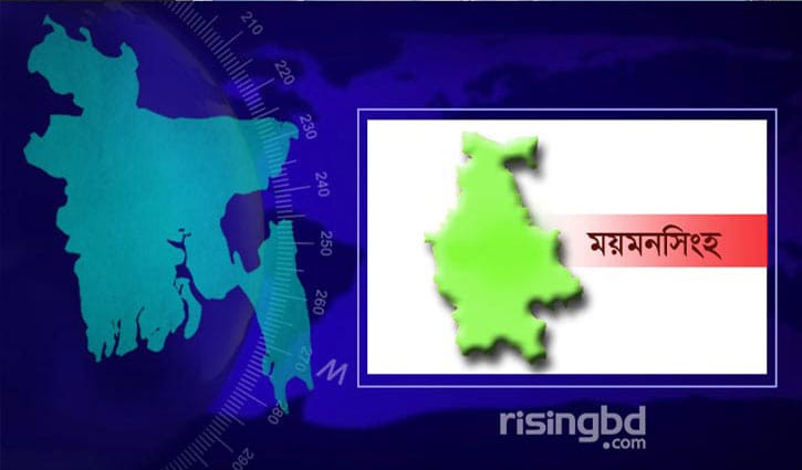 চুরির সন্দহে দুই শিশুকে বৈদ্যুতিক শক, প্রধান আসামি গ্রেপ্তার