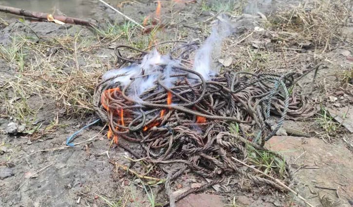 সুন্দরবনে হরিণ শিকারের ২৫ ফাঁদ জব্দ