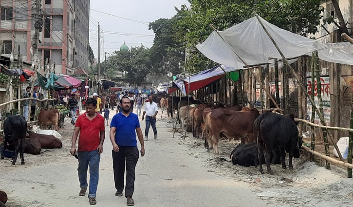 ক্রেতার চেয়ে দর্শনার্থী বেশি: শেষ মুহূর্তের অপেক্ষায় পাইকাররা