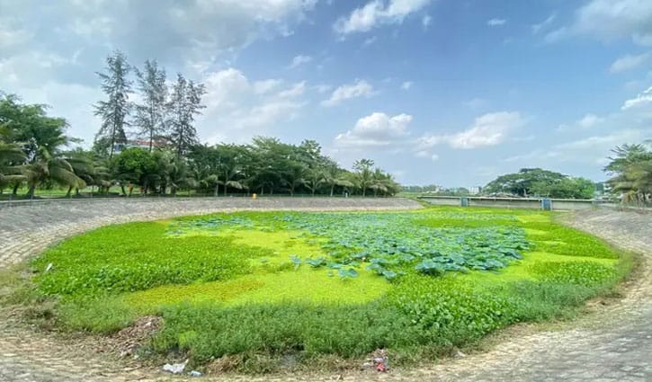 অযত্ন-অবহেলায় নষ্ট হচ্ছে গোবিপ্রবির লেকপাড়ের সৌন্দর্য