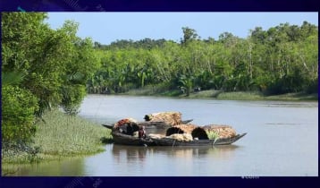 সুন্দরবনে জাহাঙ্গীর বাহিনীর কবলে ১৮ জেলে, আতঙ্ক