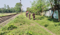 ভারতীয় গরু আসা বন্ধে হিলি সীমান্তে বিজিবির নজরদারি