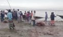 গাইবান্ধায় ৪৬৭ বস্তা ভিজিএফ চাল ভর্তি ২ নৌকা ডুবি