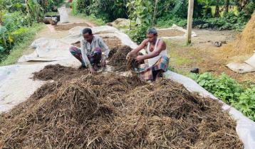 বোরো ধান হারিয়ে দিশেহারা হাওরের কৃষক, ঘরে নেই ঈদের আনন্দ