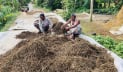 বোরো ধান হারিয়ে দিশেহারা হাওরের কৃষক, ঘরে নেই ঈদের আনন্দ