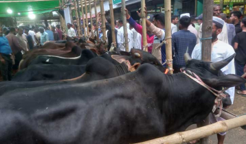 মৌলভীবাজারে গভীর রাত পর্যন্ত পশু বেচাকেনা