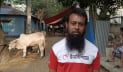 ফেনীতে অস্ত্র ঠেকিয়ে ব্যবসায়ীর গরু ছিনতাই