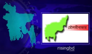মৌলভীবাজারে বজ্রপাতে দুজন নিহত