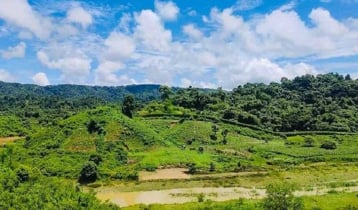 নাইক্ষ্যংছড়ি সীমান্তে মাইন বিস্ফোরণে ৩ বাংলাদেশি নিহত