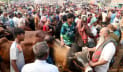ক্রেতার অপেক্ষায় রাজশাহীর কোরবানির হাট