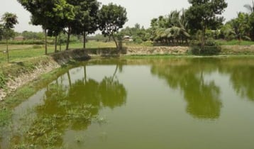 পুকুরে ডুবে দুই ভাই-বোনের মৃত্যু