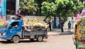পশু কোরবানি শেষে রাজধানীতে চলছে বর্জ্য অপসারণ