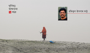 নোনা মাটিতে ফিরছে সবুজ, সংকট কাটেনি