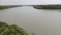 সুন্দরবনে প্রবেশে তিন মাসের নিষেধাজ্ঞা শুরু সোমবার