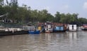 সুন্দরবনে ৩ মাসের নিষেধাজ্ঞা শুরু