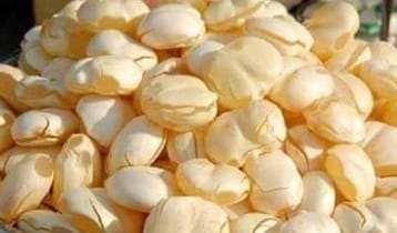 তালের শাঁস শরীরের জন্য কতটা উপকারী?