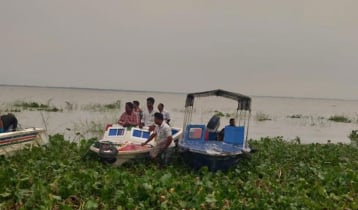পদ্মা নদীতে ট্রলার ডুবে ১ ব্যক্তি ও ২৩ গরু নিখোঁজ