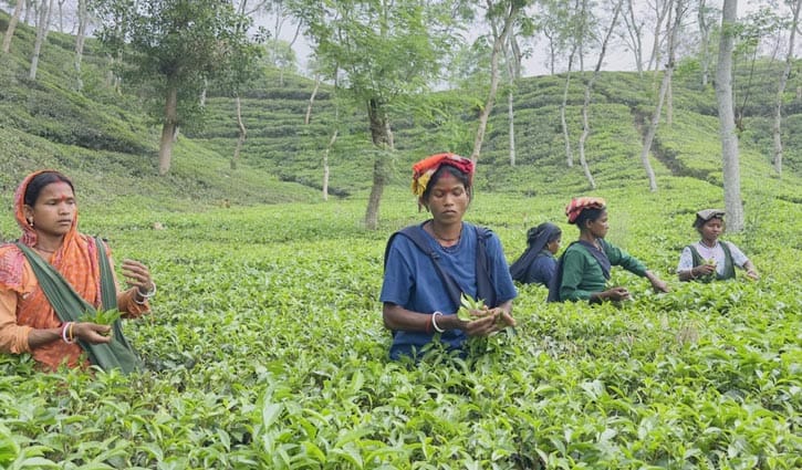 ১৮৭ টাকার জীবন-সংসার