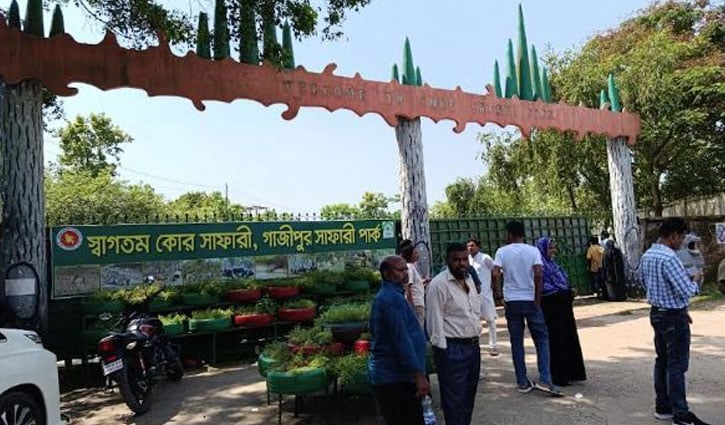 সাফারি পার্কে দর্শনার্থীদের ঢল, ৩ দিনে আয় ৭ লাখ টাকার বেশি