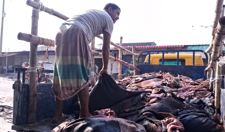 সাভার ট্যানারিতে ঢুকেছে ৫ লাখ কাঁচা চামড়া