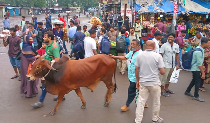 ছবিতে গাবতলী পশুর হাট