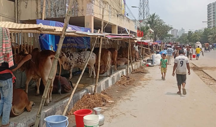 কমলাপুর হাটে এখনো আসছে পশু, ক্রেতার অপেক্ষা