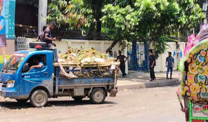 পশু কোরবানি শেষে রাজধানীতে চলছে বর্জ্য অপসারণ