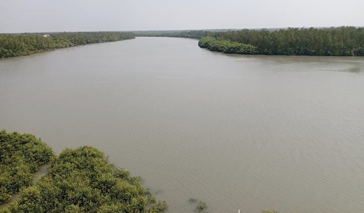 সুন্দরবনে প্রবেশে তিন মাসের নিষেধাজ্ঞা শুরু সোমবার