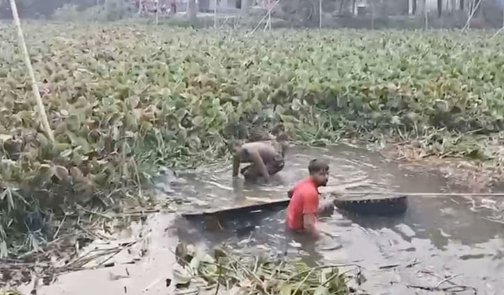 গোপালগঞ্জে ট্রাক খালে পড়ে ৪ গরুর মৃত্যু