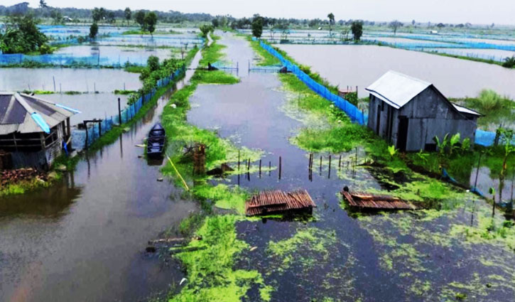 জলাবদ্ধতায় বিল ডাকাতিয়া অধ্যুষিত অঞ্চলে কৃষি জমি পানিতে তলিয়ে রয়েছে